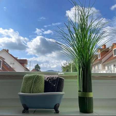 Flatnett * Maikammer