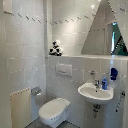 Flatnett Apartment Maikammer