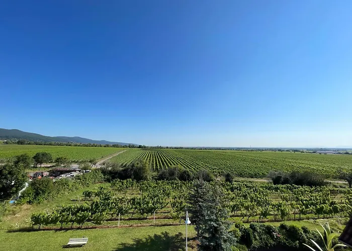 Flatnett Apartment *