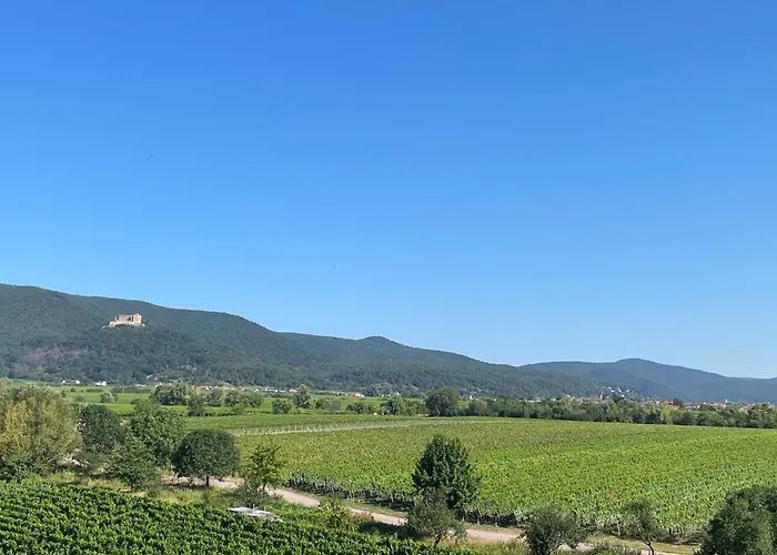 Flatnett Apartment Maikammer