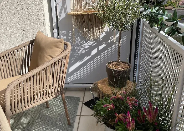 Flatnett * Maikammer